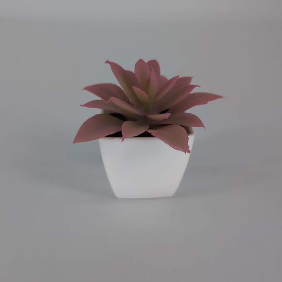 Mini Fake Faux Artificial Pink Succulent Potted Plant in Plastic White Pot - GUC - Picture 6 of 10